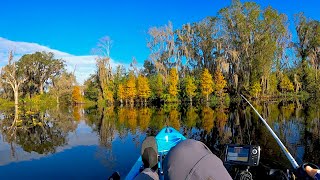 The BEAUTY of PRIMITIVE Florida KAYAK Bass Fishing | Tenoroc