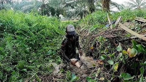 DAPAT IKAN PULUHAN KILO DI BAWAH SEMAK-SEMAK RUMPUT YANG SANGAT TEBAL