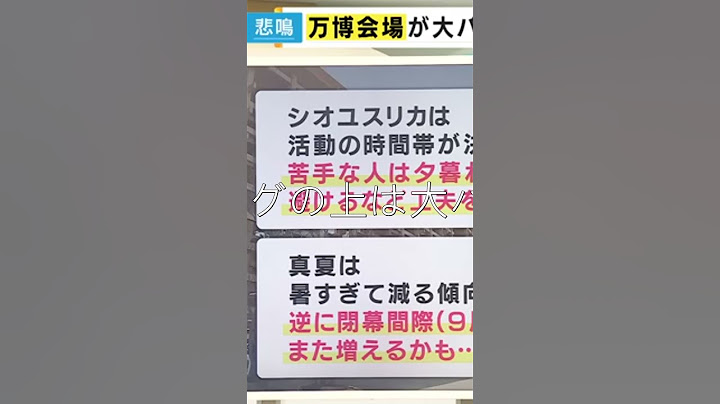KTV NEWS   【万博】「虫」が大量発生…大屋根リングの上は大パニック　SNS上でも万博会場の虫が話題に　防虫スプレーは効果期待できず　夕方の活動時間を避けることが効果的　虫の正体は「ユスリカ」