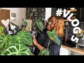 Vlog 5  retour sur le pon   les airpots et je plante mes caladiums leprintempsarrive