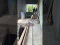 Dah terlanjur #berandashorts #keluarga#rumahminimalis#bangunrumah#keluarga