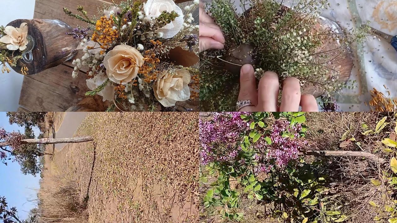 Peguei planta no Mato, desidratei e montei um um Arranjo  do zero pra vocês!!🍂🍃🍂🍁#natureza 