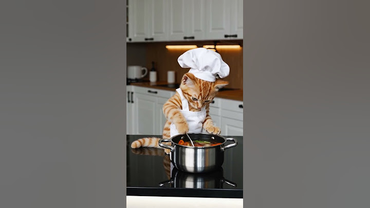No Way… This Cat Can Cook!  #sorts #cat #cooking