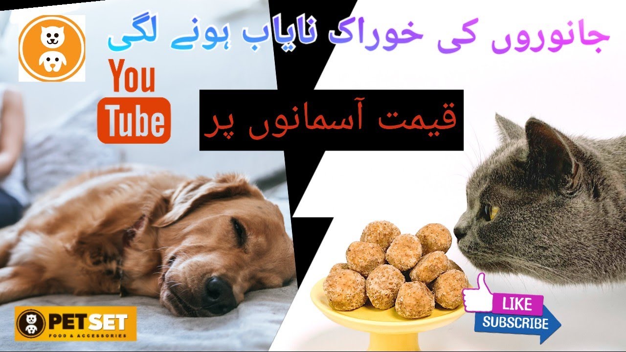 Imported Vs Local Pet Food / Increase Prices