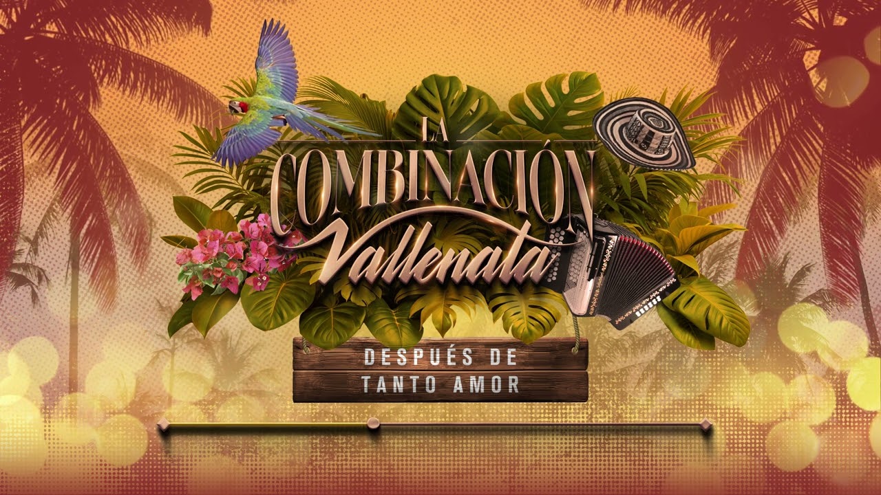 Después De Tanto Amor, La Combinación Vallenata - Audio