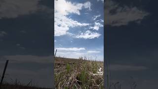 #fpv #drone #part107 #certified maiden flight successful