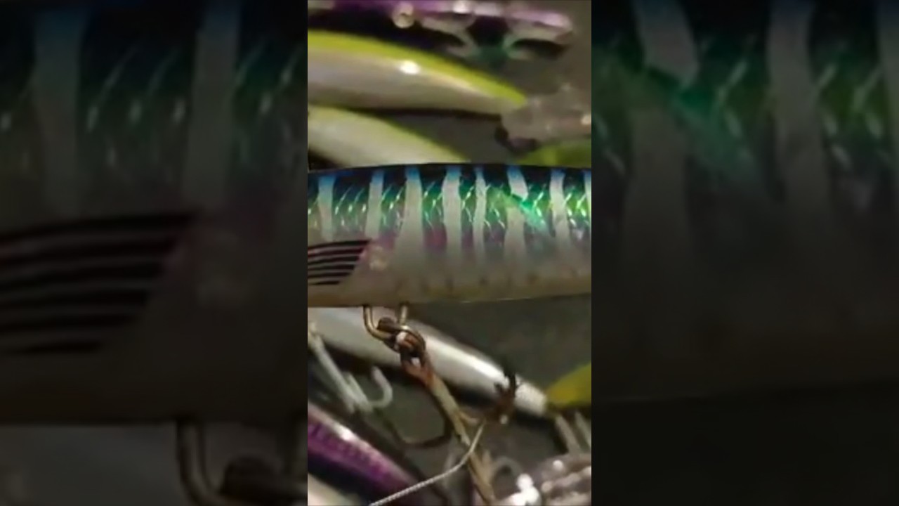 Massive Offshore Lure Collection 