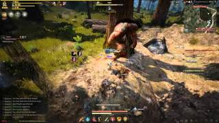 Black Desert Online Ogre Kill Valkyrie EU/NA