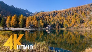 Italian Dolomites - Fall in the Alps - 4K Nature Documentary - Episode 1