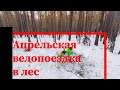 Апрельская велопоездка в лес