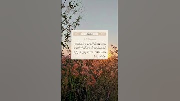 وما كان قولهم إلا أن قالوا ❤️ #سورة_آل_عمران #قران #القران_الكريم #آيات_بينات #اكسبلور #المصحف #لايك