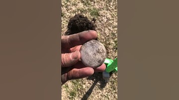 Bucket List Silver in an Old Yard 🏡🙌