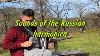Live performance! Russian guy plays chanson on the harmonica - Sounds of the Russian harmonica