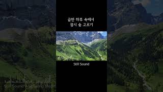 평온한 아침을 여는 10분 명상  #명상음악  #stillsound #휴식음악  #힐링음악  #meditationmusic