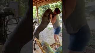 Minha Tia Dançando Kkkkk