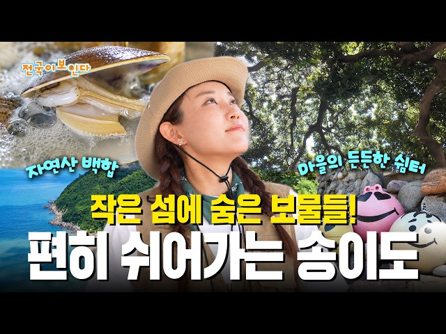 작은 섬에 숨은 보물들! 편히 쉬어가는 송이도 | 전국이보인다 | 26년 10월 10일