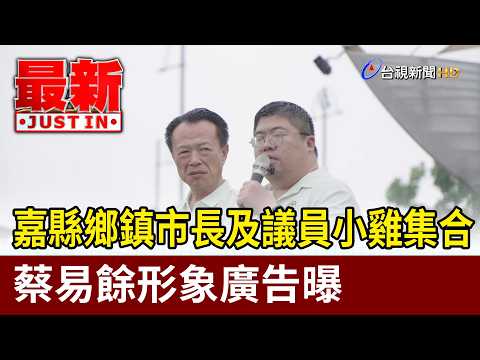 Chiayi County Mayors and Councilors Assemble: Tsai Yi-yu's Campaign Ad Revealed [Latest News]