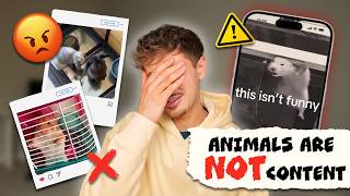 Exposing Pet Influencers… This Needs to Stop!