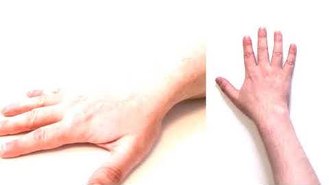 Learn English with Actions! Easy English Lesson with Hand and Table | Total Physical Response (TPR)