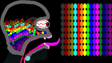 The Human Factory 6 Leg Eliminations Marble Race in Algodoo