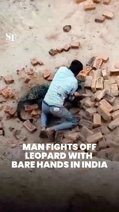 Man in India fights off leopard and survives