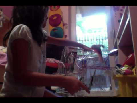 Fun With Kiki : Kiki Opening Present - YouTube