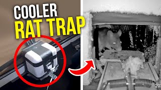 HOMEMADE ICE CHEST RAT TRAP!? Will they chew through it?