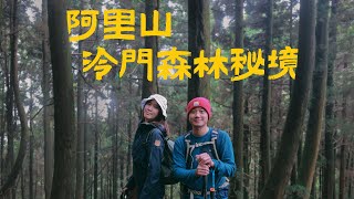 撞到尾椎...好痛...... 阿里山冷門森林祕境兒玉山(自忠山)、東水山