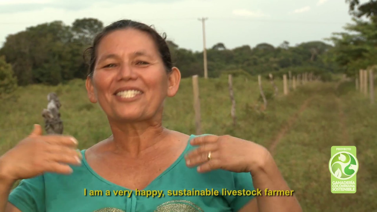 Mercedes Murillo - San Martín, Meta - video subtitulado en inglés