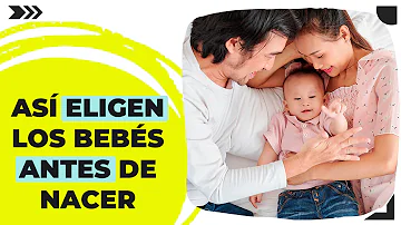 ¿Eligen los bebés cuándo nacer?