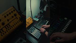 Live Dawless Filter/French House Jam #sp404mk2 #electronicmusic #tr8s #housemusic #frenchhouse #dj
