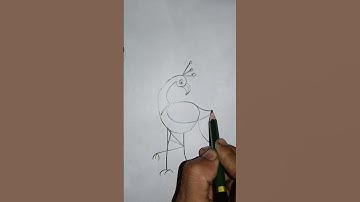 Easy Peacock 🦚🦚 Drawing Using Number 6#short #numberdrawing #drawings #shorts