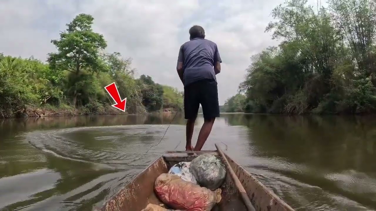 หว่านแหปลากุ่ม