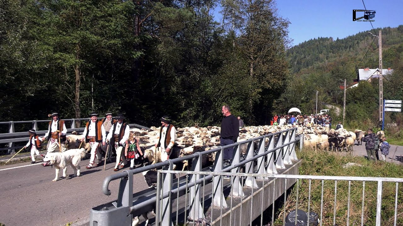 JESIENNY REDYK w Obidzy - 04-X-2025r. cz_1.