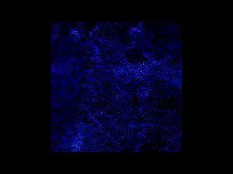 Automatic Fiction - The Nearest Vertigos (audio)