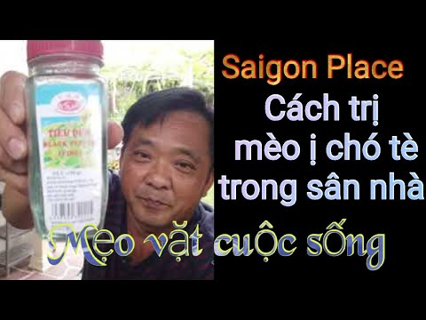 Cách trị mèo ị – chó tè trong sân nhà – Mẹo hay – Mẹo vặt  – @Saigon Place