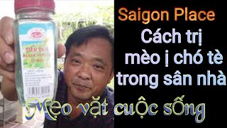 Cách trị mèo ị - chó tè trong sân nhà - Mẹo hay - Mẹo vặt  - @SaigonPlace