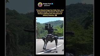 Meet the Military Robot Dogs of the Future 😳🐺