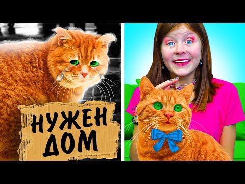 Как Переделать Школу в Приют для Животных? || Веселые Ситуации с Друзьями