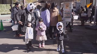 上野動物園で双子パンダを限定公開、来園者の感想