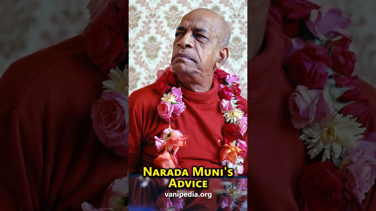 Narada Muni's Advice - Prabhupada 0601