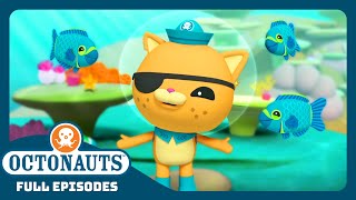 @Octonauts  ‍☠ The Pirate Parrotfish  | Season 1 | Full Episodes | Cartoons for Kids