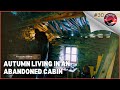 Cozy autumn retreat living in an abandoned cabin in the italian alps  ep 30