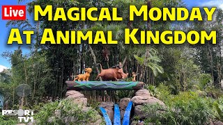 🔴Live: Magical Monday at Disney's Animal Kingdom - Walt Disney World Live Stream  - 5-20-24