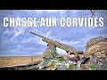 CHASSE AUX CORVIDÉS // La première sortie de l'année ! // (Partie 1) Chasseurs Par Nature