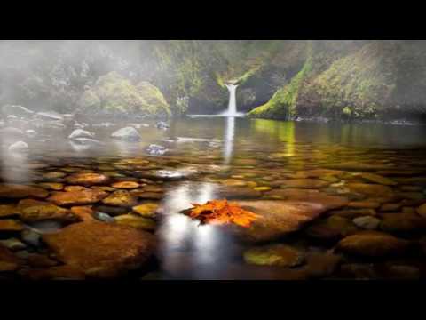 ФУТАЖ Осень - FOOTAGE Autumn