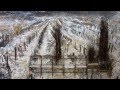 Anselm Kiefer - Teutonic Mythology