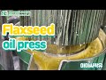 Flaxseed oil, Flax seeds, cold press, flaxseed press