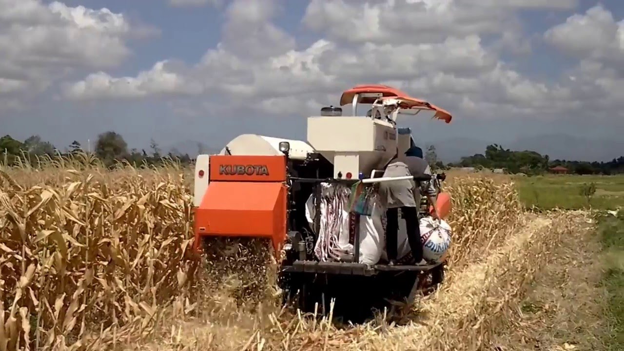 01 OTON Kubota DC70 Harvester 2016 (Corn Kit) YouTube