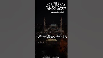 قد نرى تقلب وجهك فالسماء فلنولينك قبلة ترضاها | طارق محمد #تلاوات
